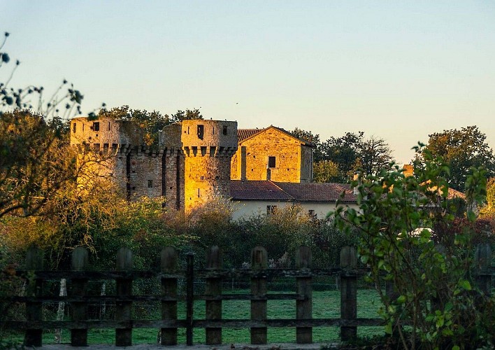 argentonnay-gite-vue-du-chateau-salon-chateau-sanzay
