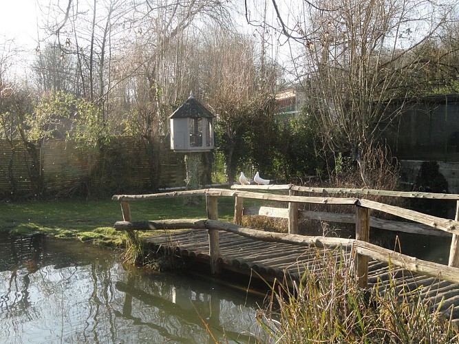 DSC04382 [1600x1200]