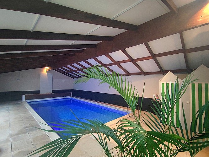 nueil-les-aubiers-gite-le-45-tours-piscine