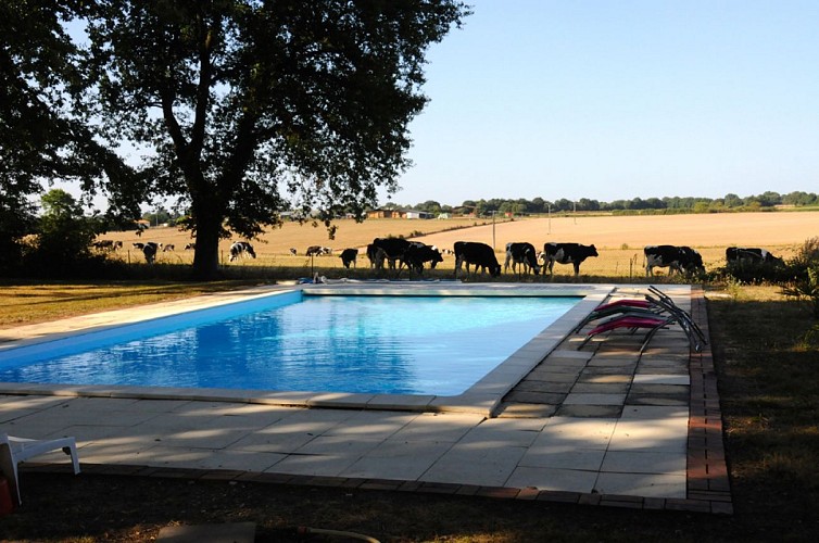 Le Gite de La Kimandière