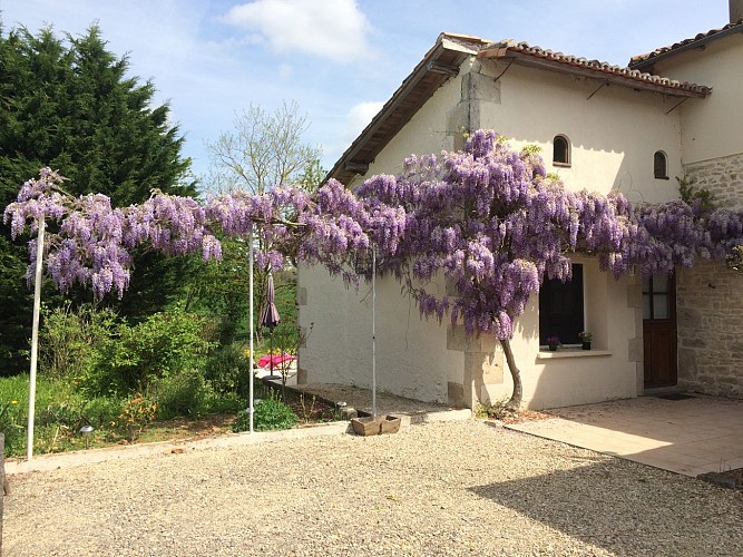 Gîte WISTERIA à Genouillé_9