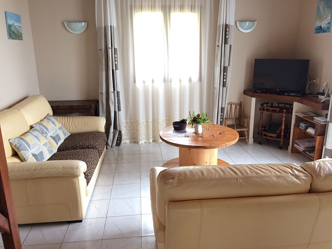 espace salon 2 canapés cuir, TV écran plat, TNT sat, lecteur DVD, bon internet_18