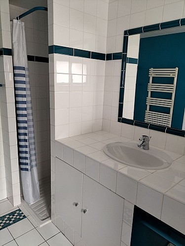 04-Domaine de Bellevue-La Vigneronne_Pouançay_2023