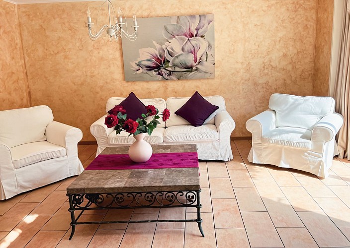 Salon donnant sur la terrasse de la piscine 