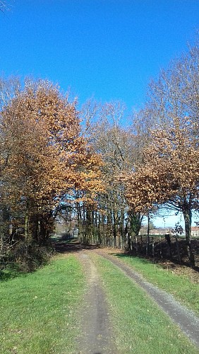 Belle campagne_La Chapeliere à La Chapelle-Bâton