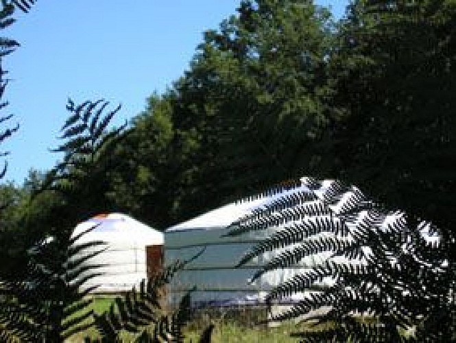 Yourtes de la Ferme des Anes de Vassivière_4