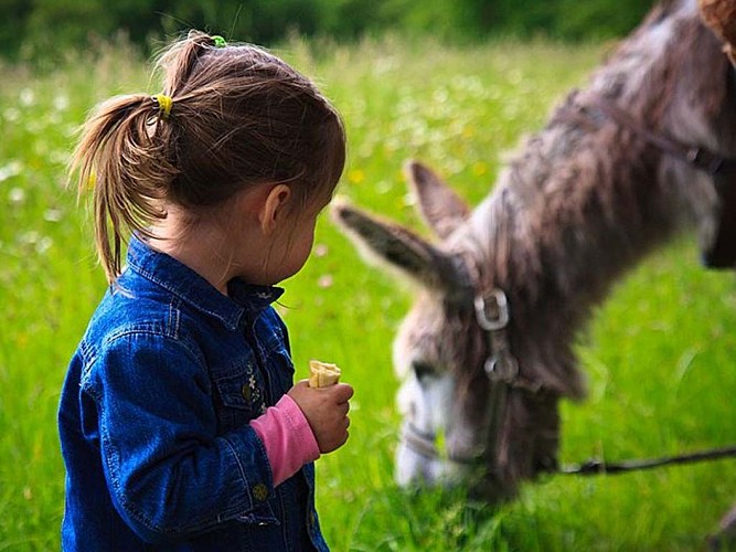 Yourtes de la Ferme des Anes de Vassivière_10