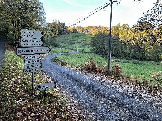 Route menant aux gîtes