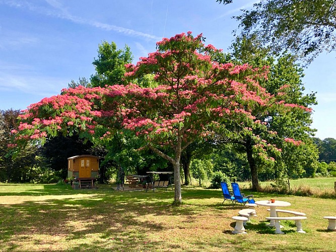 Roulotte la Chouette des Granges