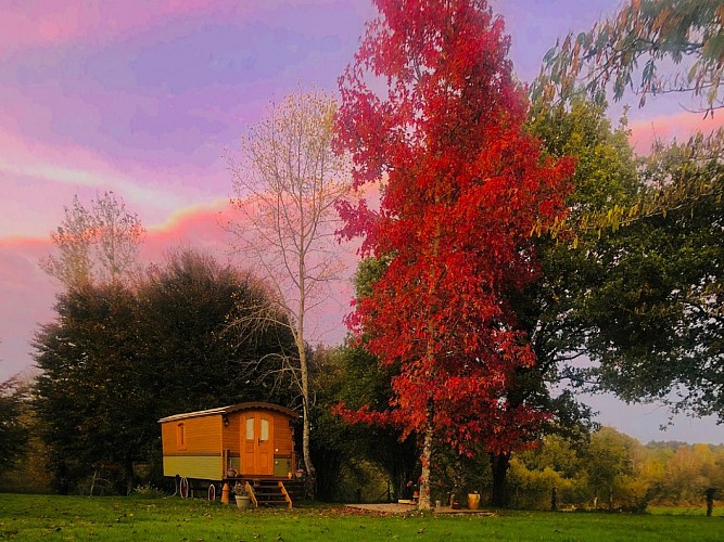 Roulotte la Chouette des Granges