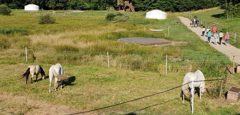 Tiny House - Centre UnisVers