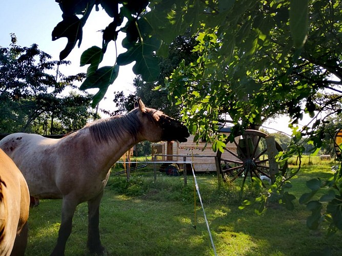 237058439_2763177107238070_4120188643317034378_n