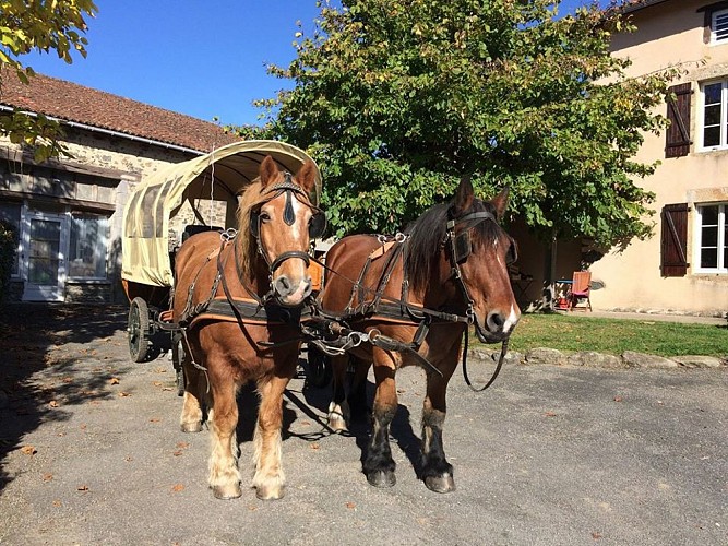 Les tipis de l'Isop_4
