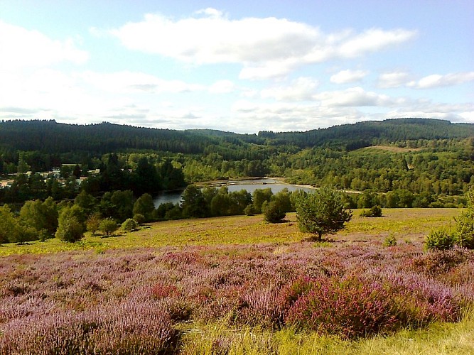 Meublé de tourisme Pasty Joëlle_6