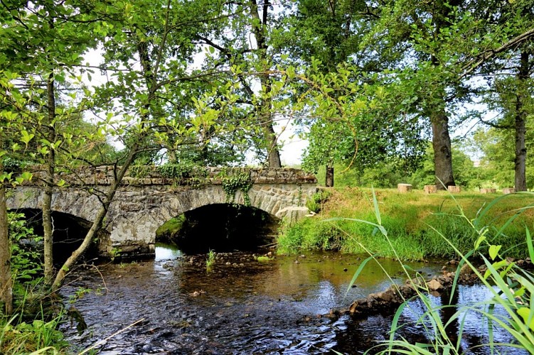 Meublé de tourisme - Gîte du Moulin Toucan_10