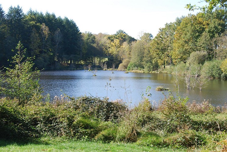 Meublé de tourisme "Bel' Ecaille"