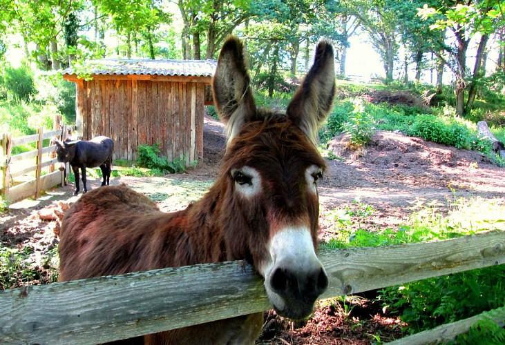 Le Moulin des Combes, Gîtes écodurables