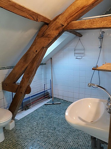 salle de bain avec charpente
