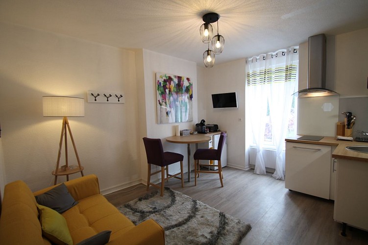 Meublé de tourisme Apparts Watteau