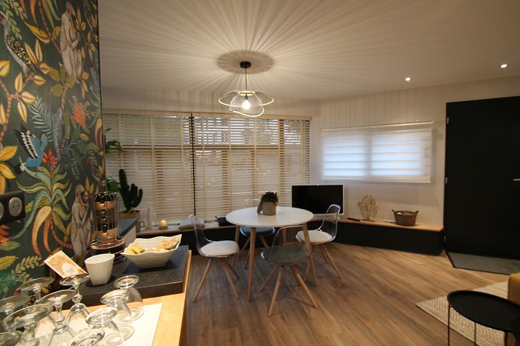 Séjour appartement vert_1