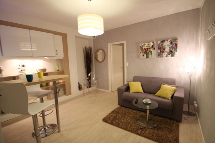 Meublé de tourisme Apparts Watteau_6