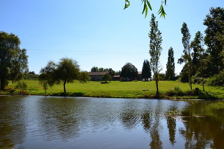 Meublé de tourisme "La Châtaigne" (La Lègerie)_7