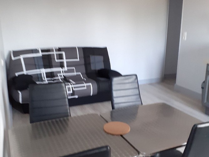 Meublé de tourisme - salon_2