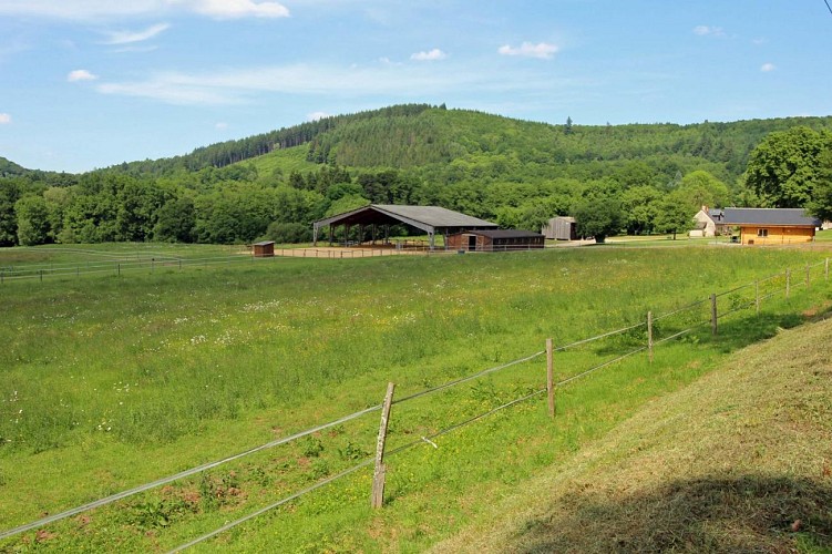 Lintignat, nature, forêt et montagnes à 5 minutes du lac de Vassivière_2