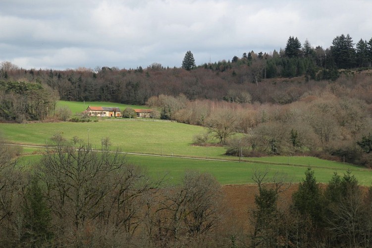 Les Renardières vue gîte