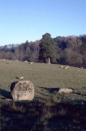 Menhirs du Métayer