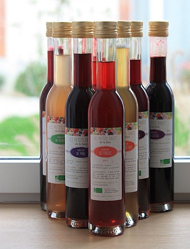 Les Petits Fruits de la Baie