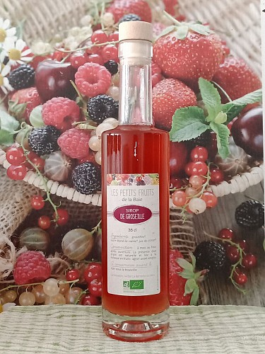 Les Petits Fruits de la Baie