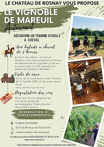 Balades découvertes du vignoble Jard