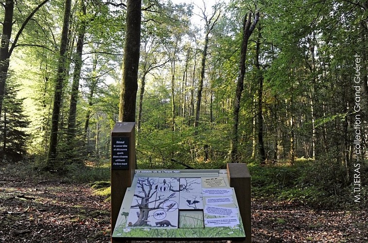 Sentier découverte 2