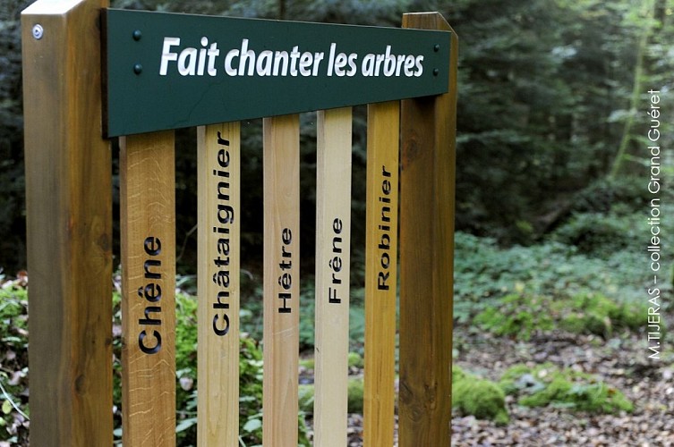 Sentier découverte 3