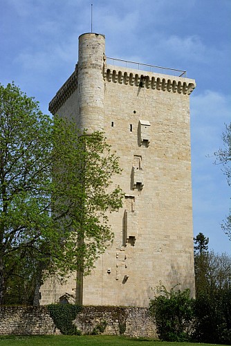 Tour de l'Honneur et son musée 8