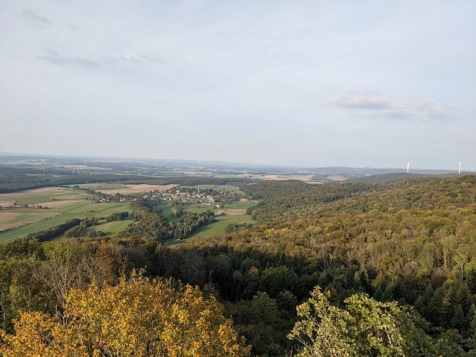 Vue de la Tour des Bois