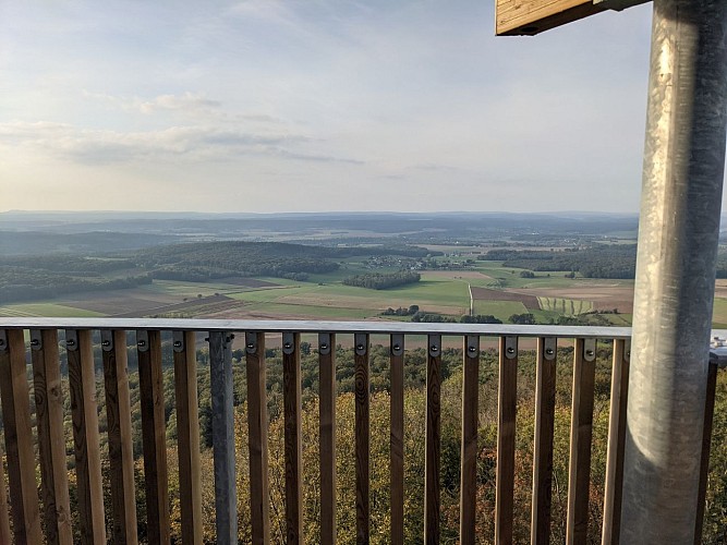 Vue de la Tour des Bois