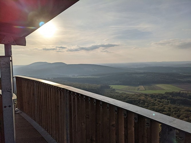 Vue de la Tour des Bois