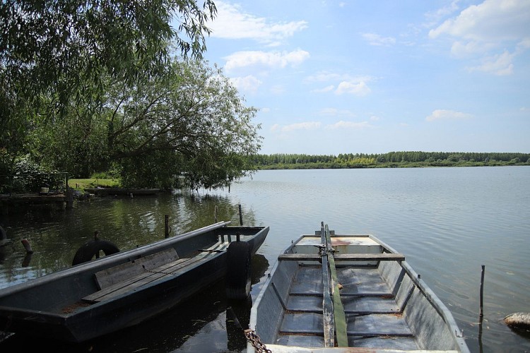 Marais du Grand Clair - Palluel