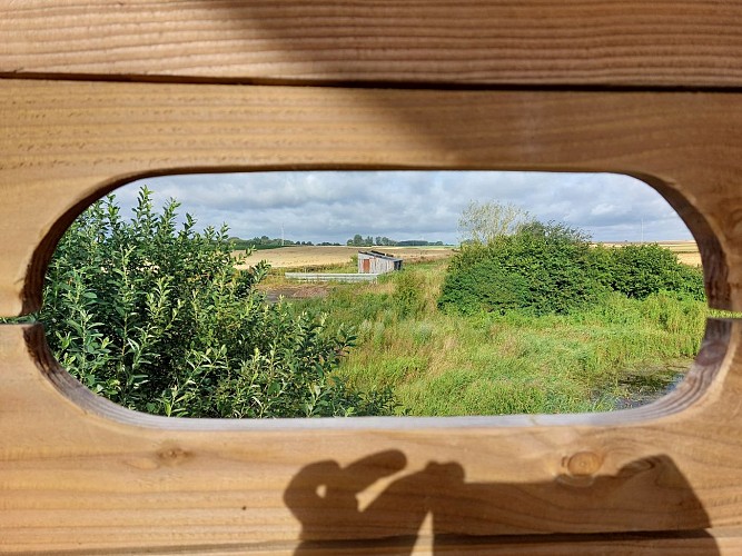 Dejardin Sylvain_16-07-24-3viviers (31)