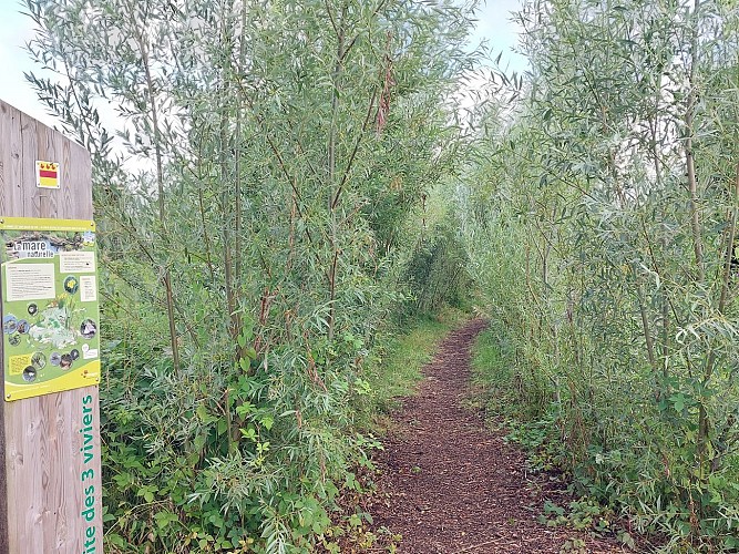 Dejardin Sylvain_16-07-24-3viviers (6)