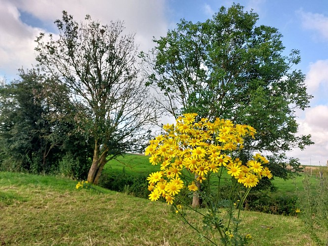 Dejardin Sylvain_16-07-24-3viviers (39)