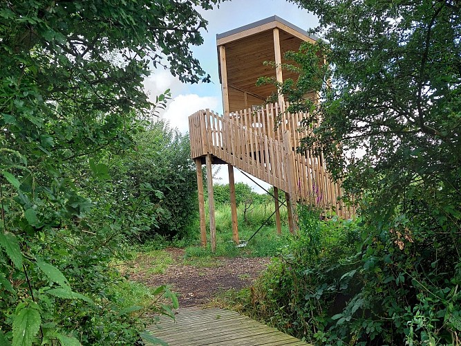 Dejardin Sylvain_16-07-24-3viviers (13)