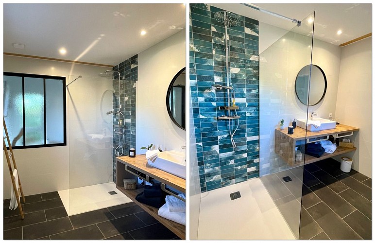 Haritzaga - Biarritz - salle d eau