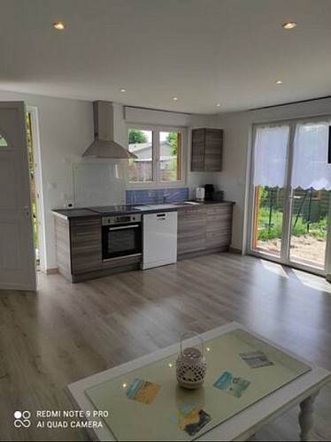 Margouillat 3 [800x600]