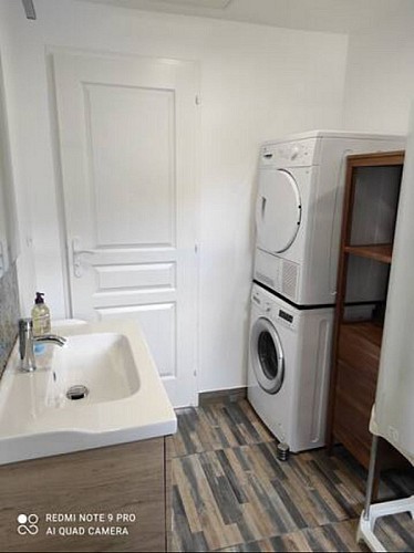 Margouillat 7 [800x600]