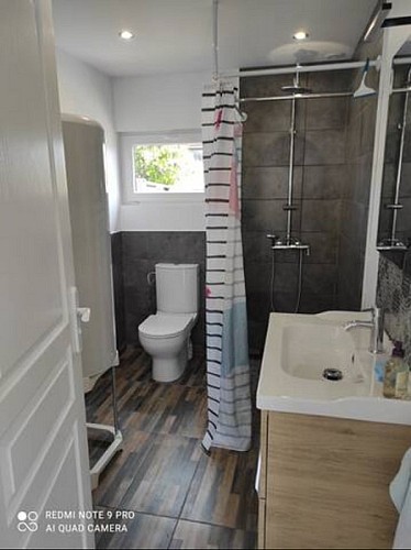 Margouillat 8 [800x600]