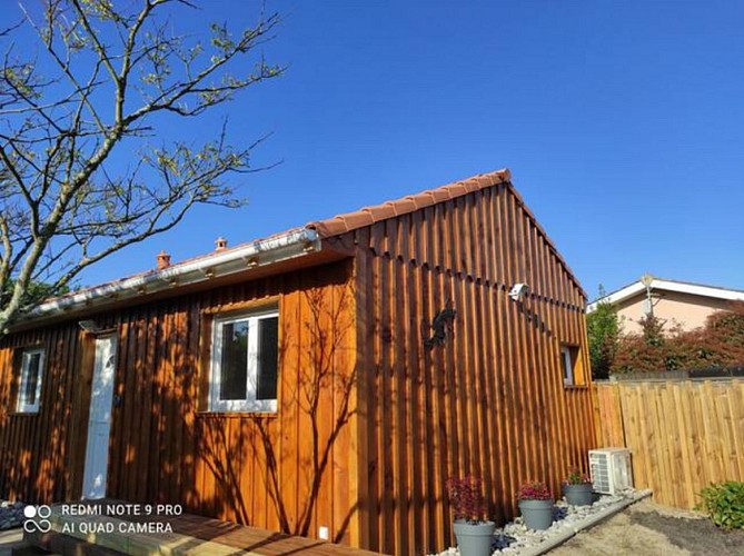 Margouillat 2 [800x600]