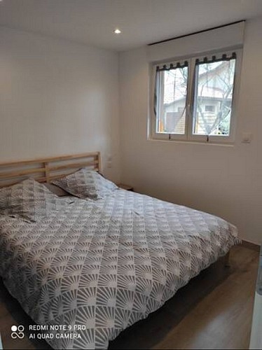 Margouillat 5 [800x600]